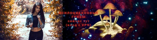 гашик Беломорск